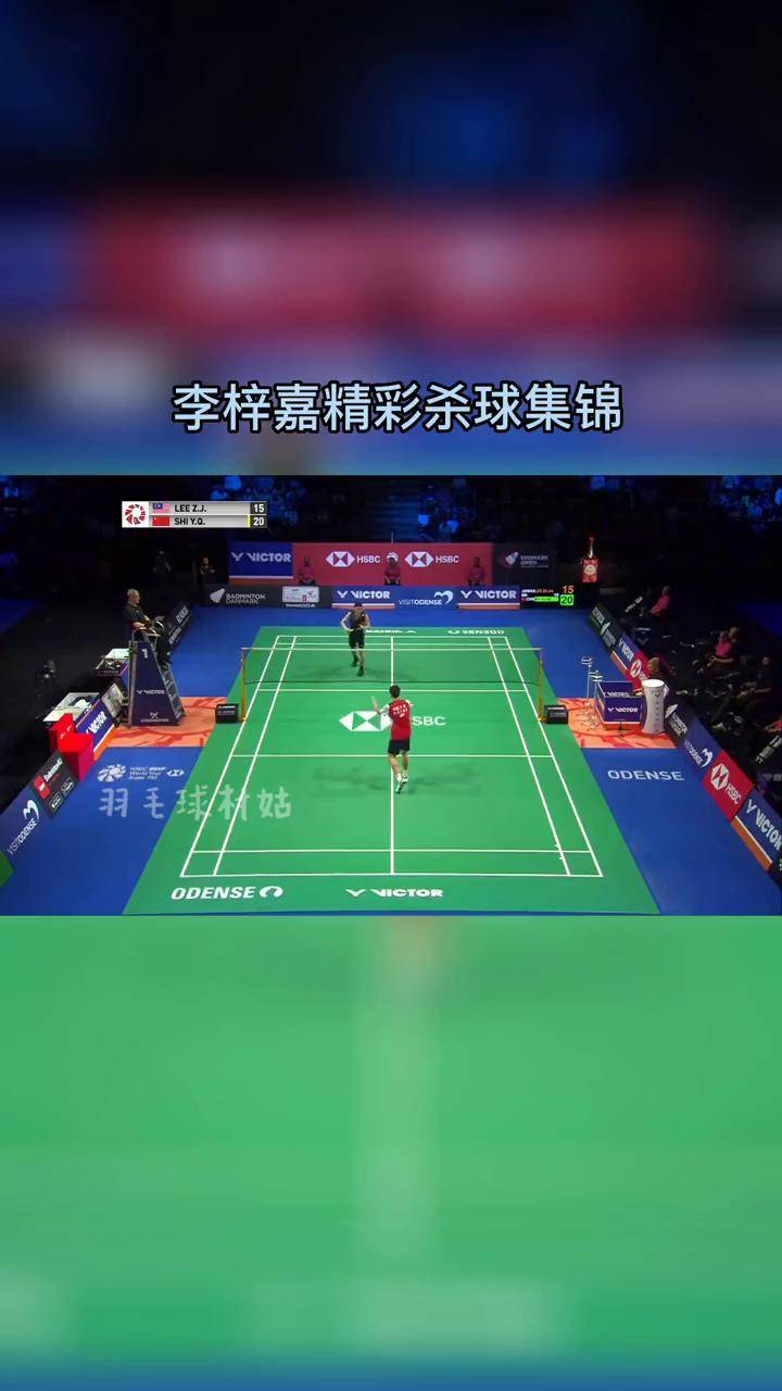 开云APP-丹麦队横扫日本队,李梓嘉带队取胜