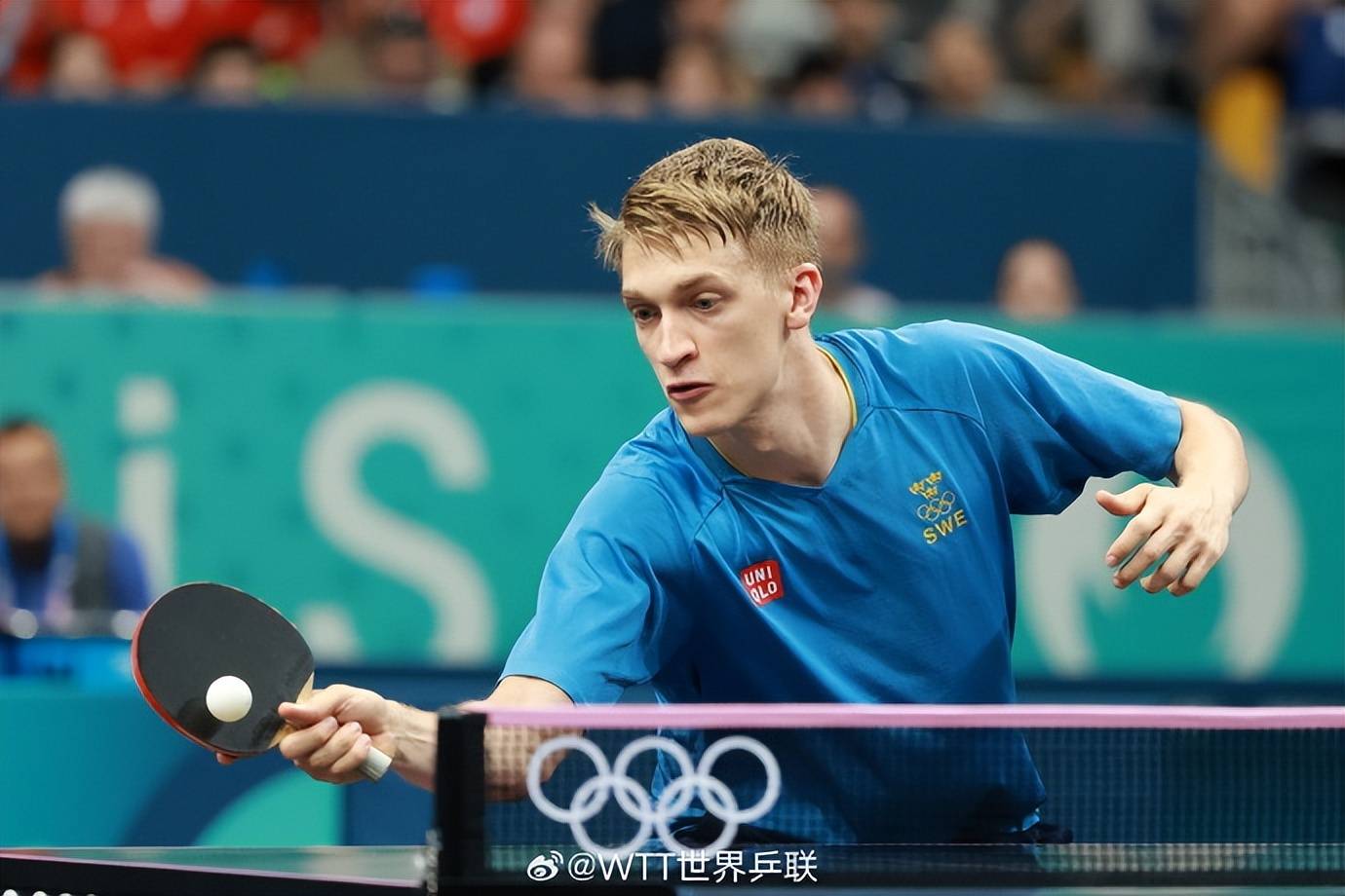 开云体育官网-波兰队横扫德国队，波尔刷新纪录