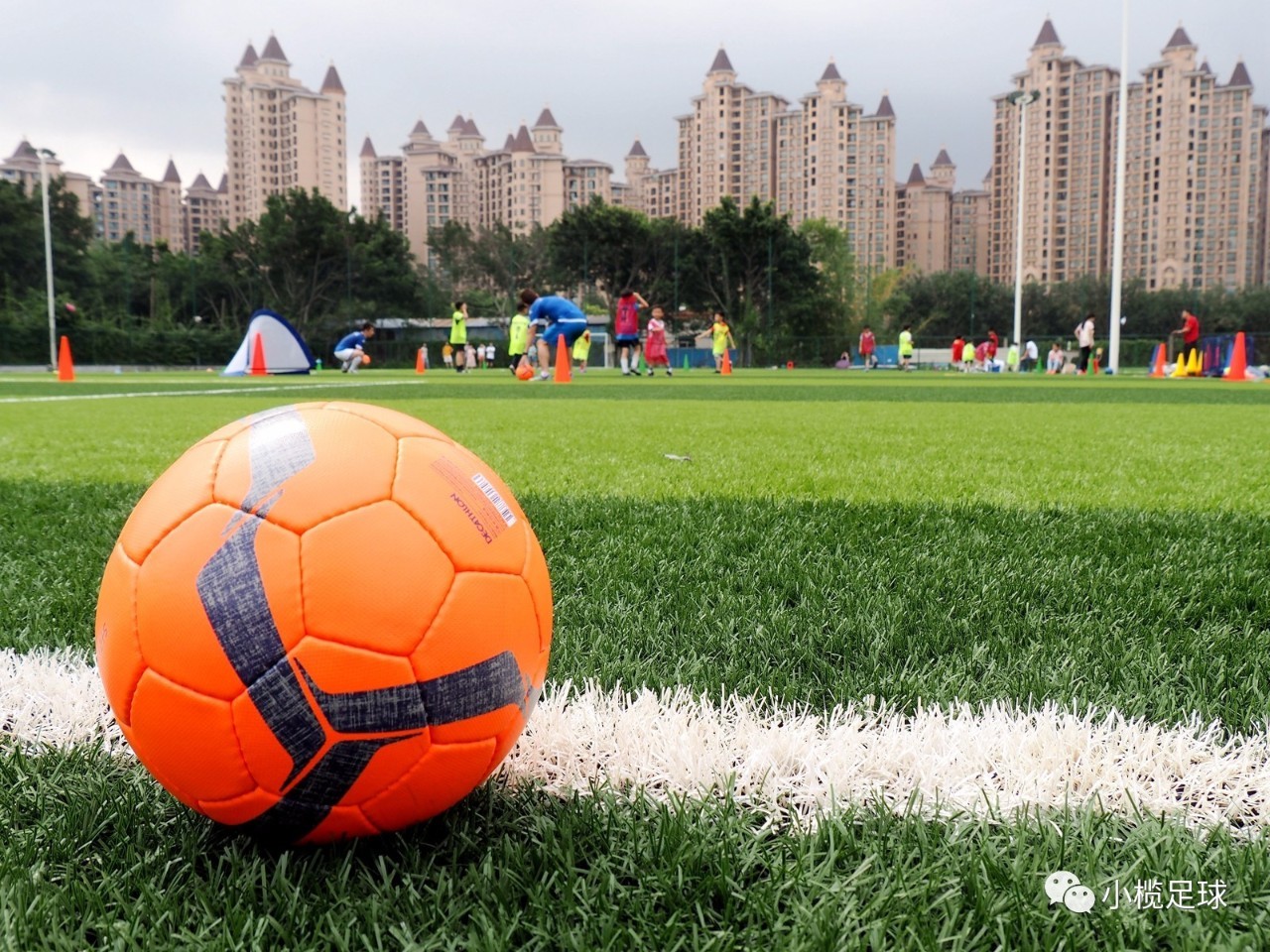 青少年足球培训营开启，星光熠熠惟我独尊