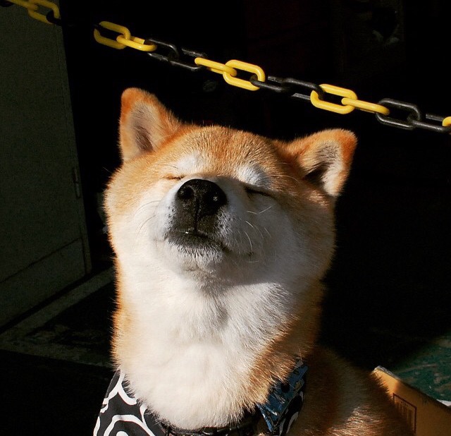 开云体育官方网站-老兵不死！保罗末节连砍12分+死亡抢断，公牛决胜局浇灭篮网翻盘火焰