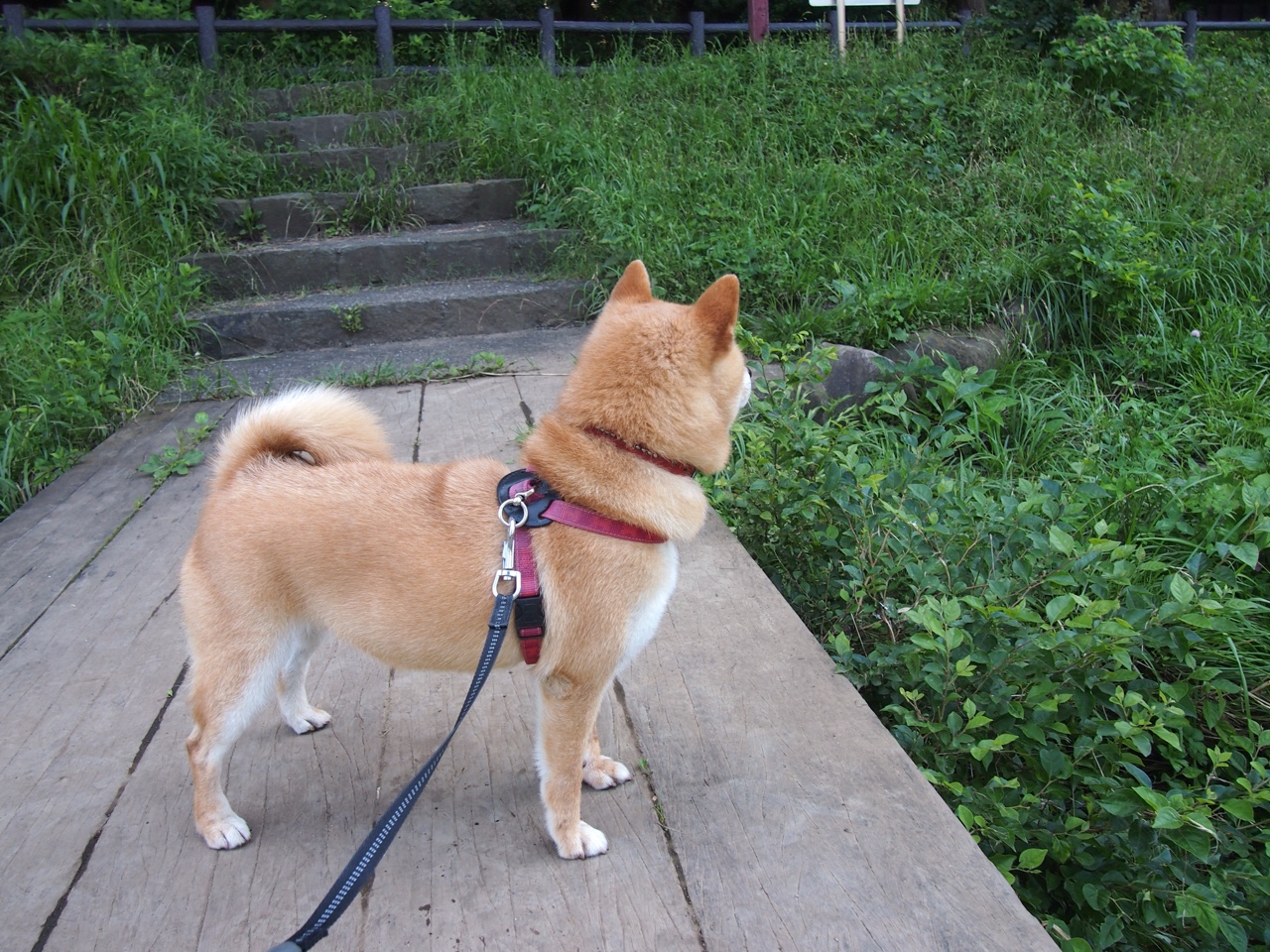 老鹰爆冷魔术，杜兰特年度焦点战霸气接管比赛