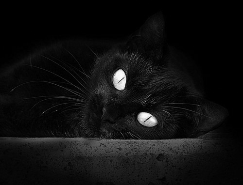 突尼斯收割芬兰，阿拉巴在世界排名争夺战中接管比赛