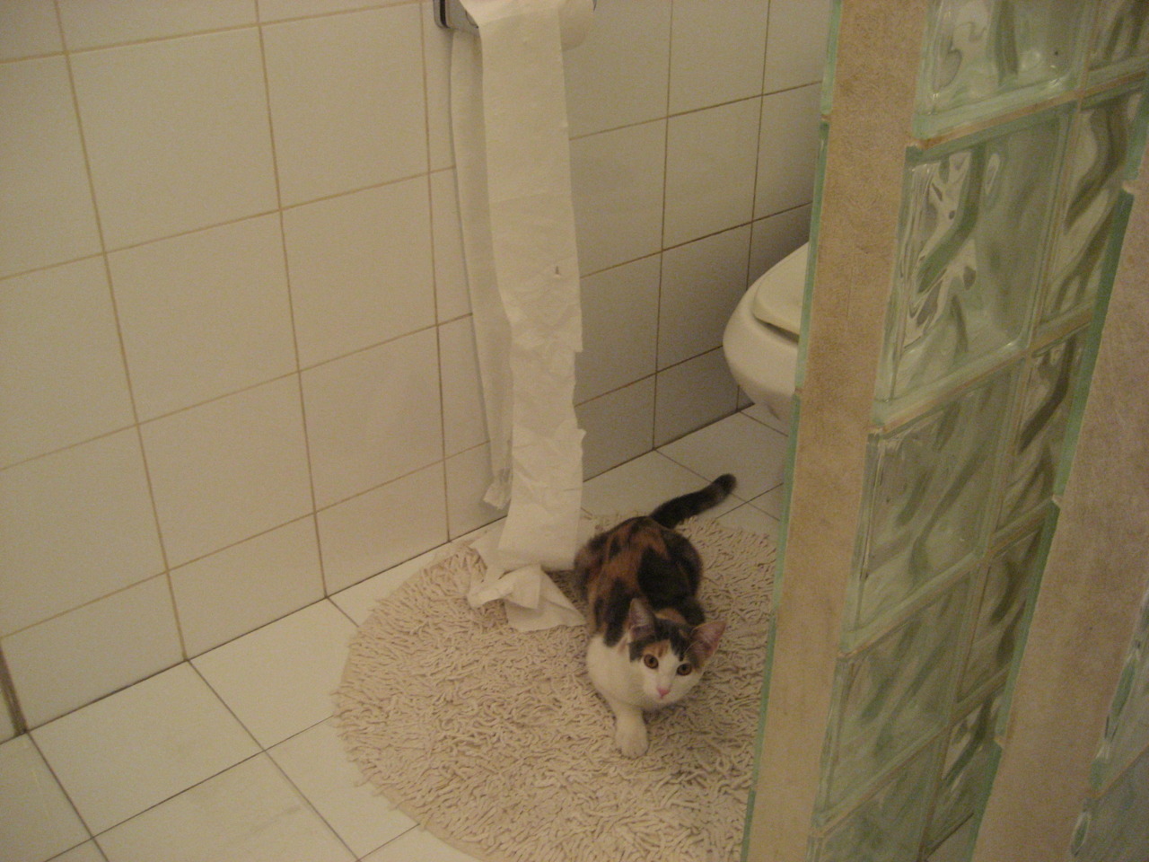 从亚特兰大到2026，拉亚如何接过巴西的权杖