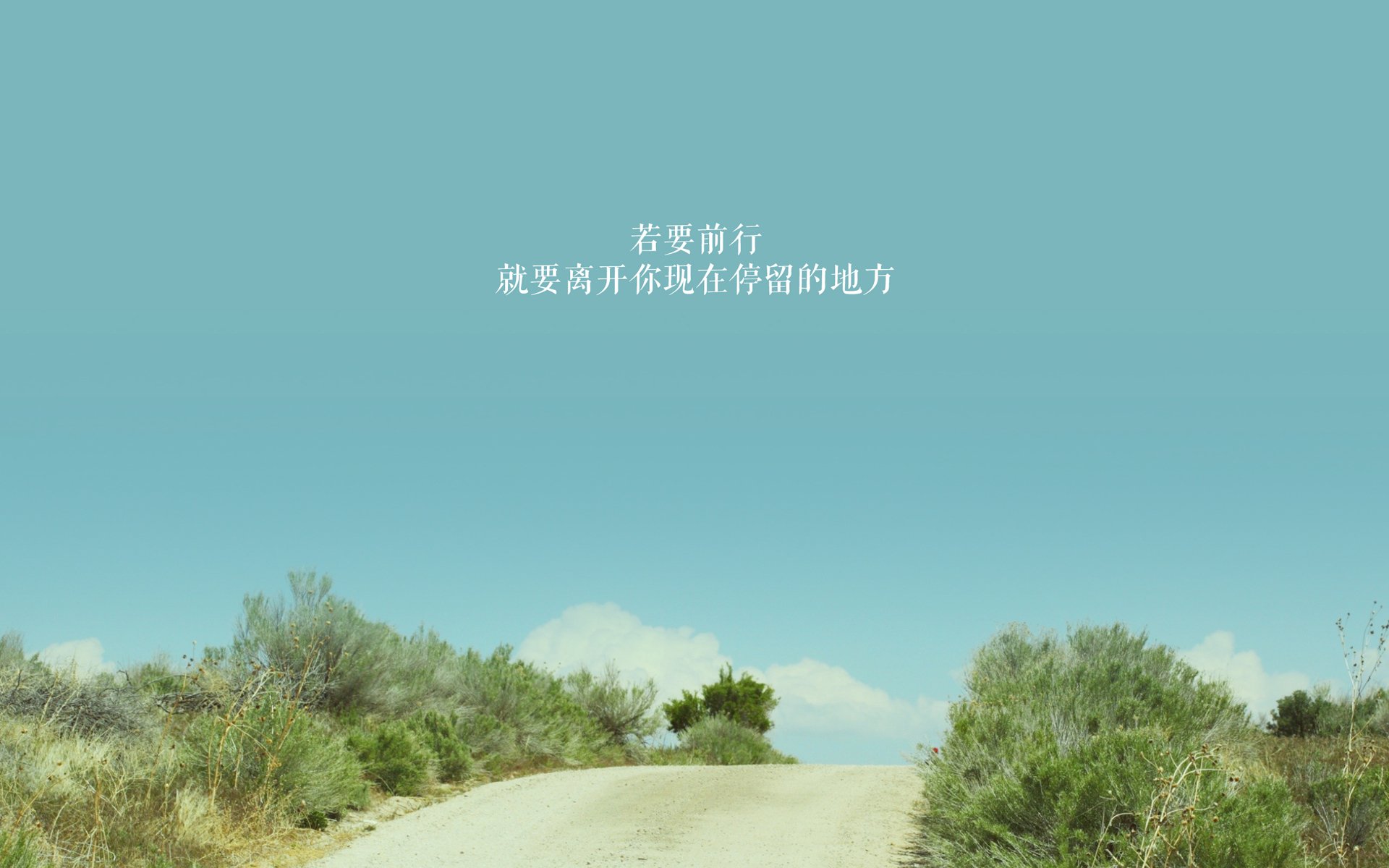 天赋初绽与王权血战,文班亚马的狂想曲与国王的生死博弈