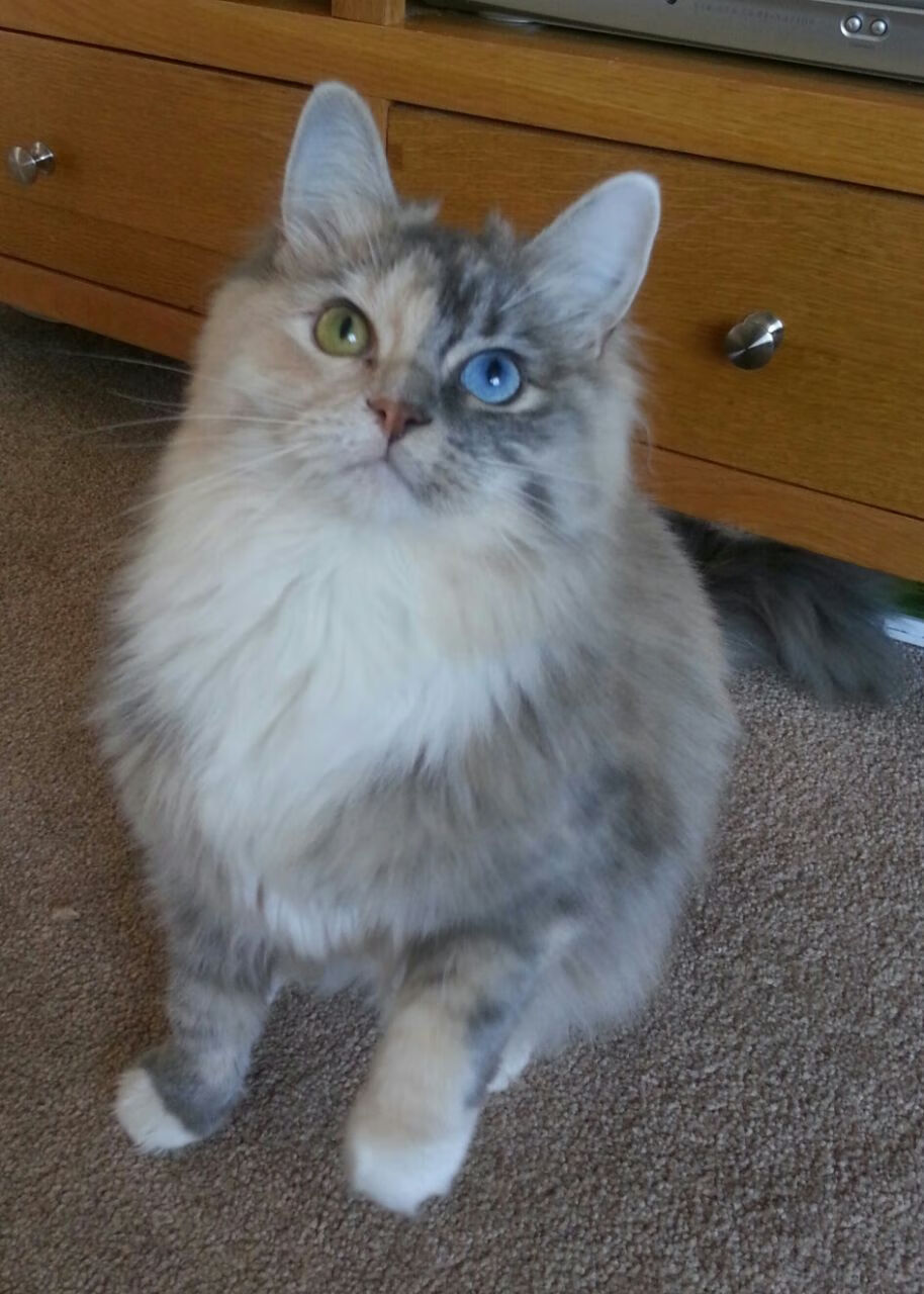 开云体育官网-铁血防线与王者归来,英格兰防守锁死新西兰,拉什福德用实力证明自己