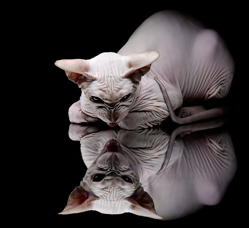 开云体育下载-苏格兰淘汰巴黎，无名防线的史诗，阿坎吉成为关键先生