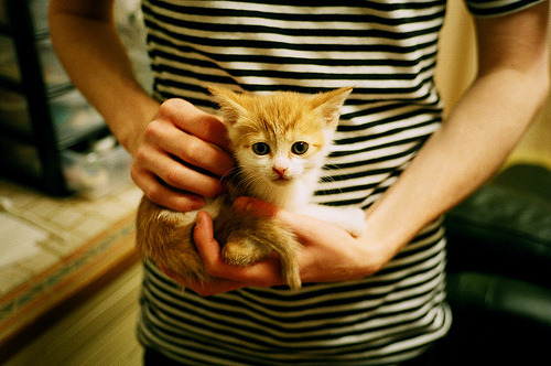 F1街道赛之夜，暗夜舞者与钢铁猛兽的交响