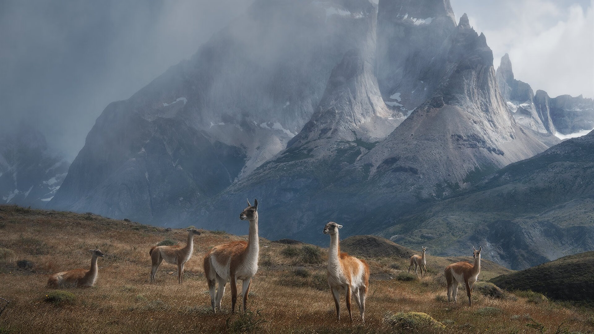 开云官网-福克斯45分狂飙难救主!布伦森29+11尼克斯险胜国王
